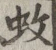 位置 確認된 蚊