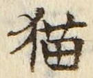文字 猫