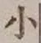글자 小