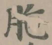 Đã định vị 脃