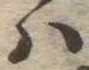 𛂞 위치 확인됨