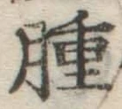 文字腫
