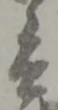 兵 위치 확인됨