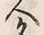 글자 名