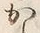 字か