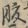 腹 위치 확인됨
