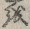 位置 確認된 𛄚