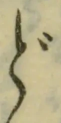 글자 ど