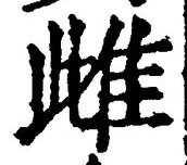 글자 雌