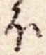 𛃀の位置