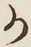 글자 か