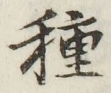 “種”字