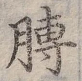 膊 위치 확인됨