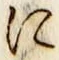 文字に