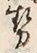 글자 勢