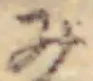 글자 み