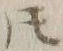 글자 𪜈
