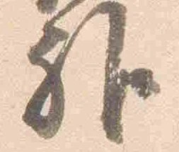 已定位雅