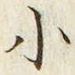 「小」字