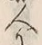 字人