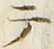 “テ”字