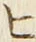 文字 ヒ