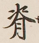 Chữ 脊