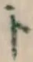 字ト