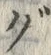 글자 ぐ
