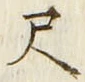 글자 尺