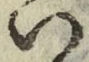 字い