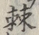 棘の位置