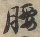 腰 위치 확인됨