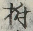 樹 위치 확인됨
