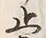 文字止