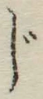 글자 じ