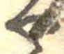 位置定マレル未定
