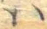 𛂞の位置