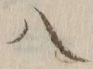 字八