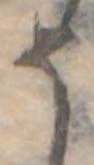 位置定マレル𛁚