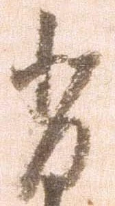 背 위치 확인됨