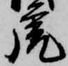 虎 위치 확인됨