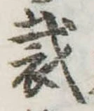 Đã định vị 裁