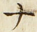 「ナ」字