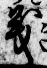 位置定マレル義