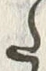 “た”字