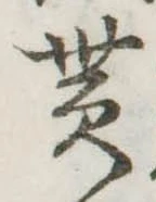 貰の位置