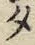 글자 タ