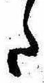 Đã định vị 𛁠