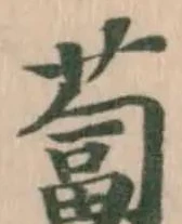 蔔 위치 확인됨
